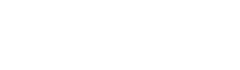 SinaweTech